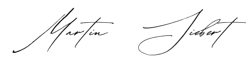 Black White Minimalist Calligraphy Signature Logo
